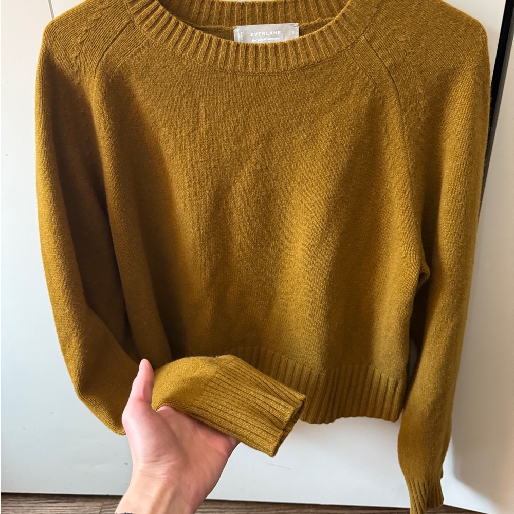 Everlane Boxy Cashmere Crew Sweater — Mustard